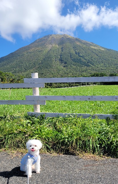 f:id:f-nikoniko:20251114143122j:image f:id:f-nikoniko:20251114143122j:image