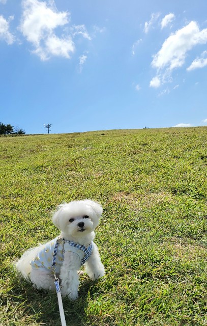 f:id:f-nikoniko:20251114143200j:image f:id:f-nikoniko:20251114143200j:image