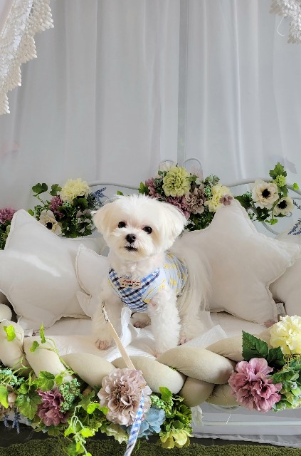 f:id:f-nikoniko:20251114144201j:image f:id:f-nikoniko:20251114144201j:image