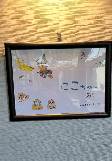 f:id:f-nikoniko:20251114144351j:image f:id:f-nikoniko:20251114144351j:image