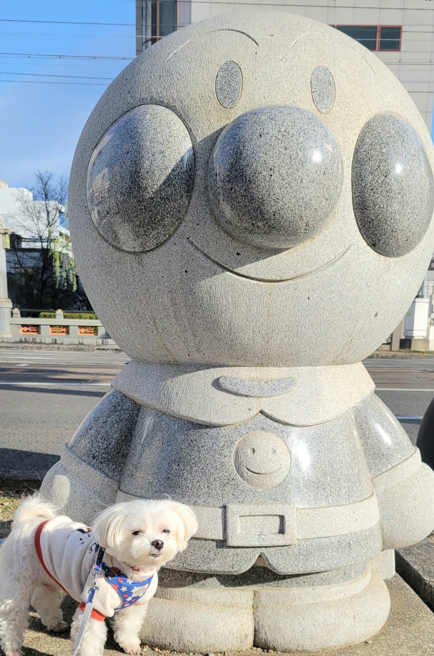 f:id:f-nikoniko:20260101151749j:image f:id:f-nikoniko:20260101151749j:image