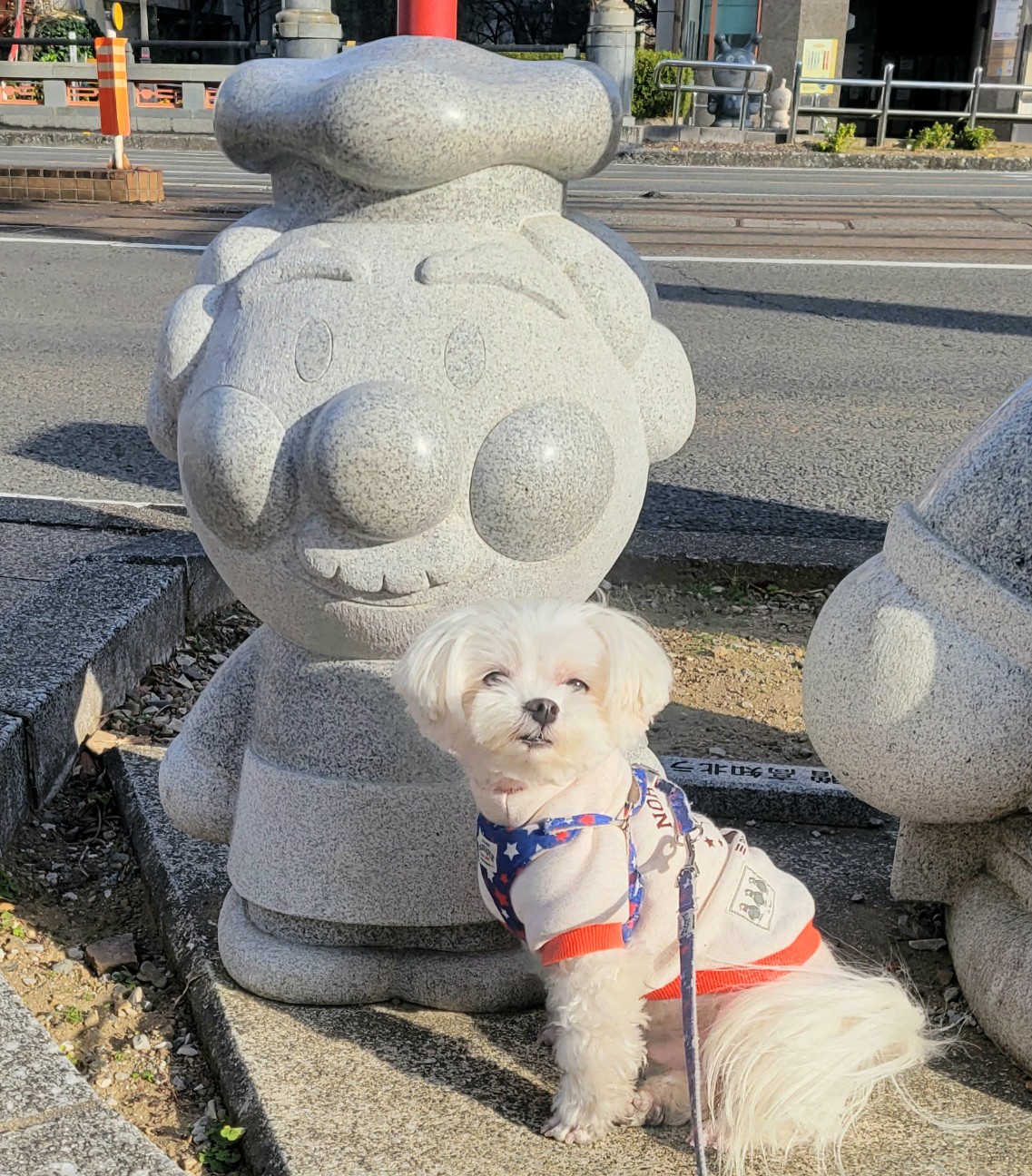 f:id:f-nikoniko:20260101151759j:image f:id:f-nikoniko:20260101151759j:image