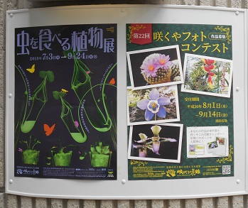 大阪の 咲くやこの花館 は国内最大級の大温室です 明日にプラス 大阪の 咲くやこの花館 は国内最大級の大温室です 明日にプラス