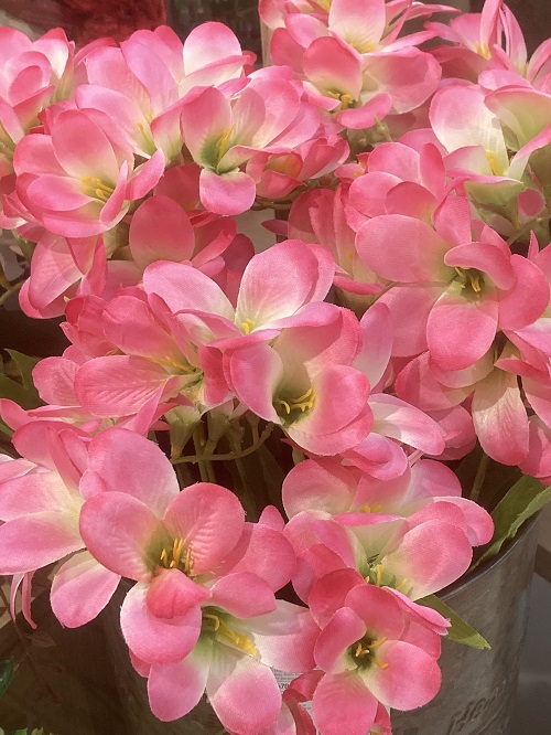 f:id:f-plus:20220226234953j:plain