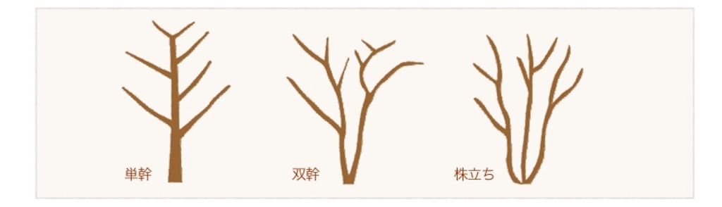 f:id:f-rairai:20181003232240j:image f:id:f-rairai:20181003232240j:image