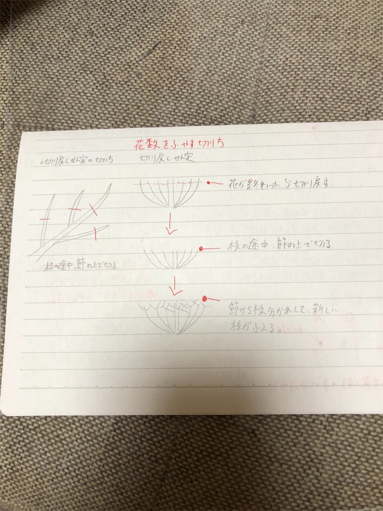 f:id:f-rairai:20181004222946j:image f:id:f-rairai:20181004222946j:image