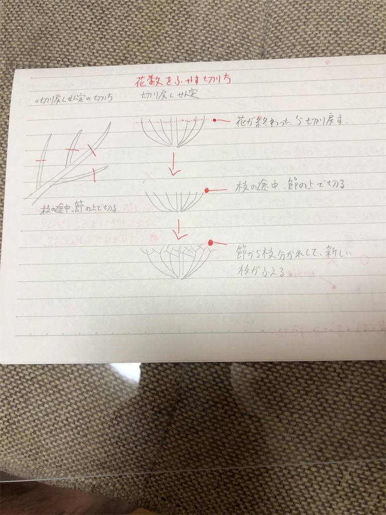 f:id:f-rairai:20181004223236j:image f:id:f-rairai:20181004223236j:image