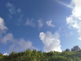 f:id:f-soumei:20211022153451j:plain
