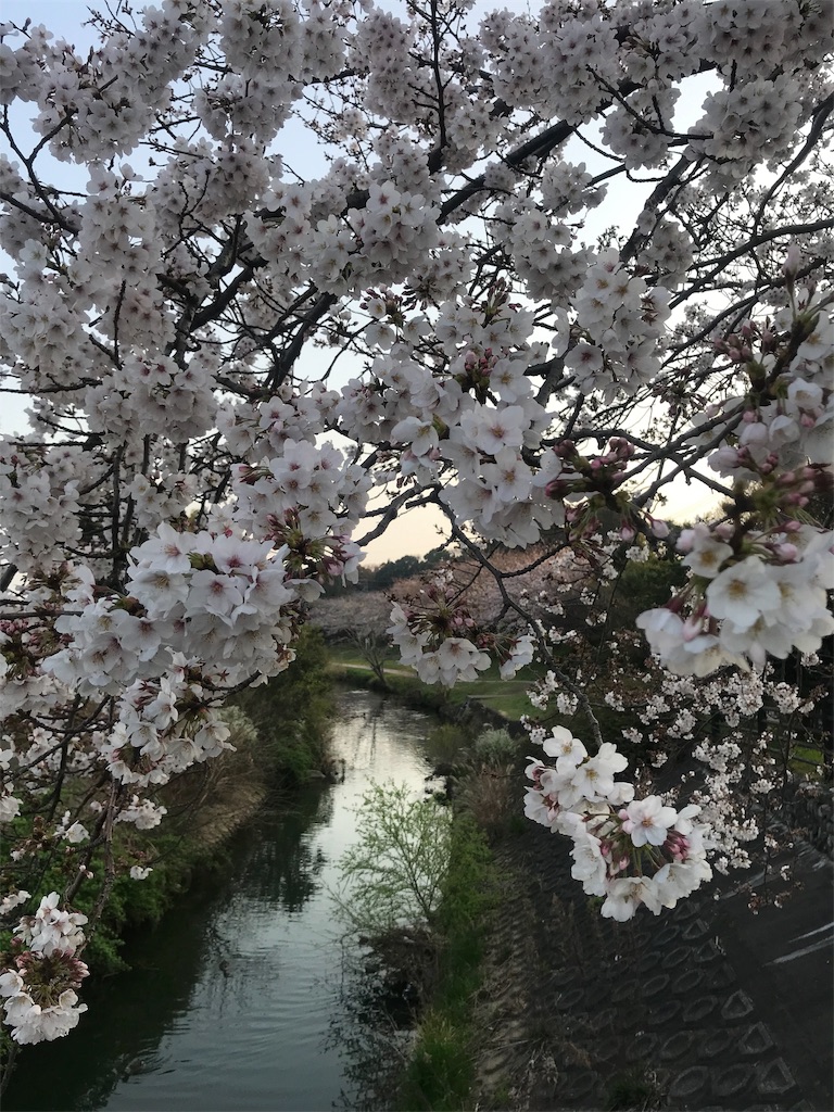 f:id:f100pj:20190330184202j:image