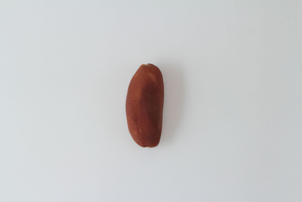 泉谷菓子舗　いも菓子 10