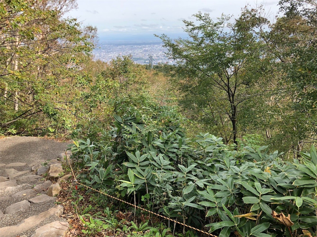 f:id:f6731713:20180925162347j:image