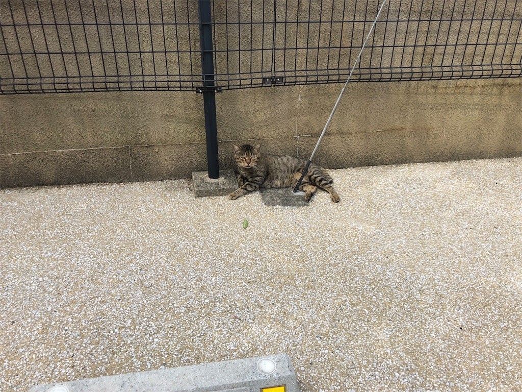 f:id:f6731713:20181007181932j:image