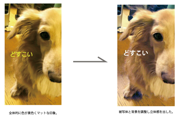 f:id:f_arai:20161013094714p:plain f:id:f_arai:20161013094714p:plain