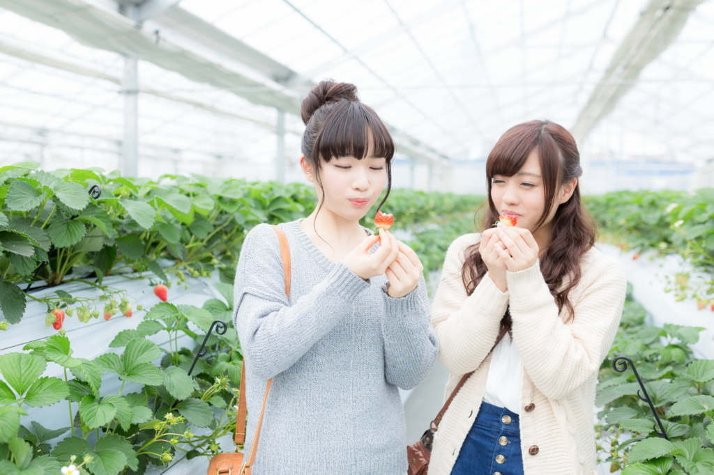f:id:f_m_y:20180520135925j:plain