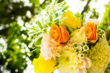 f:id:f_message:20161028174743j:plain