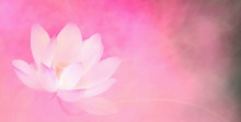 f:id:f_message:20161028175133j:plain f:id:f_message:20161028175133j:plain
