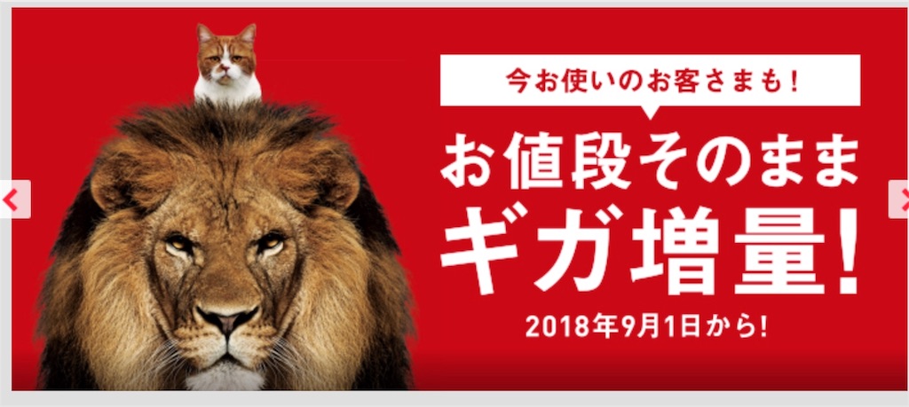f:id:fa1125da:20180801175029j:image f:id:fa1125da:20180801175029j:image