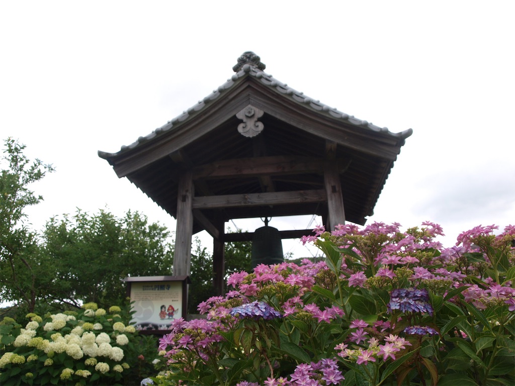 f:id:faarashi5555:20200610170835j:image
