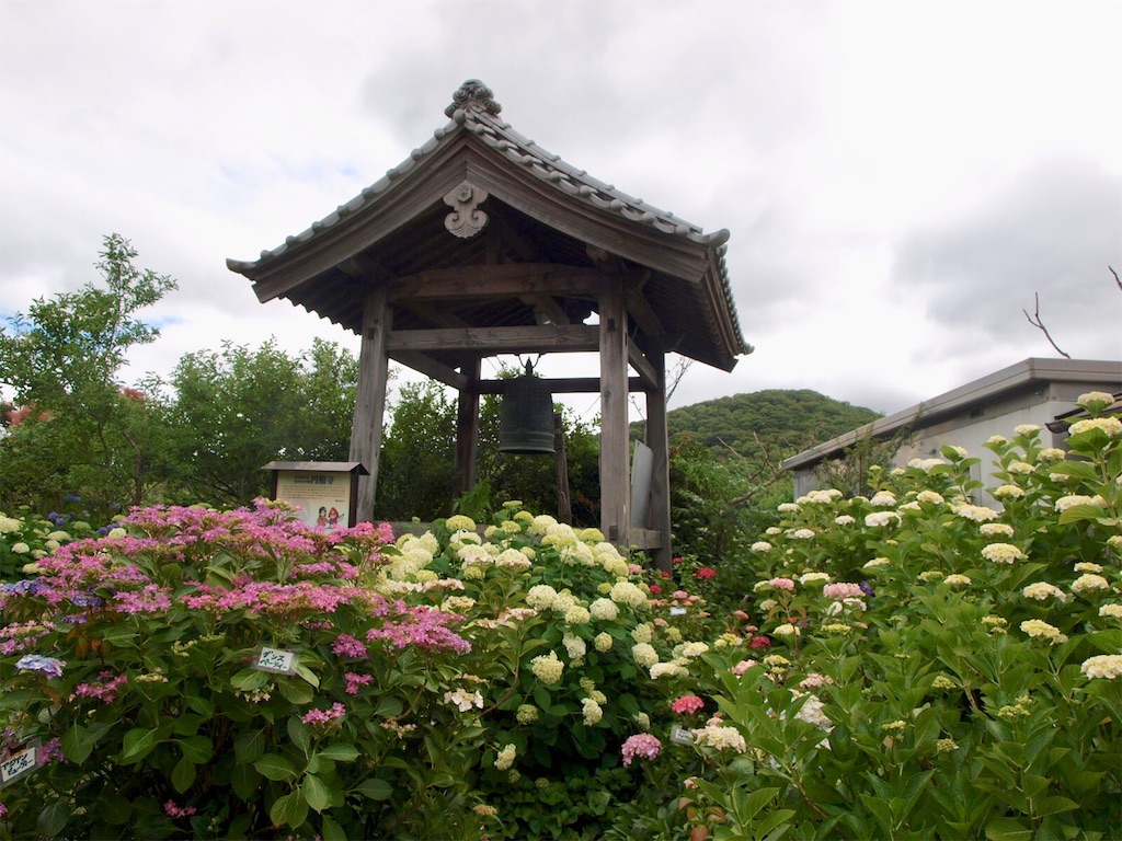 f:id:faarashi5555:20200610170849j:image