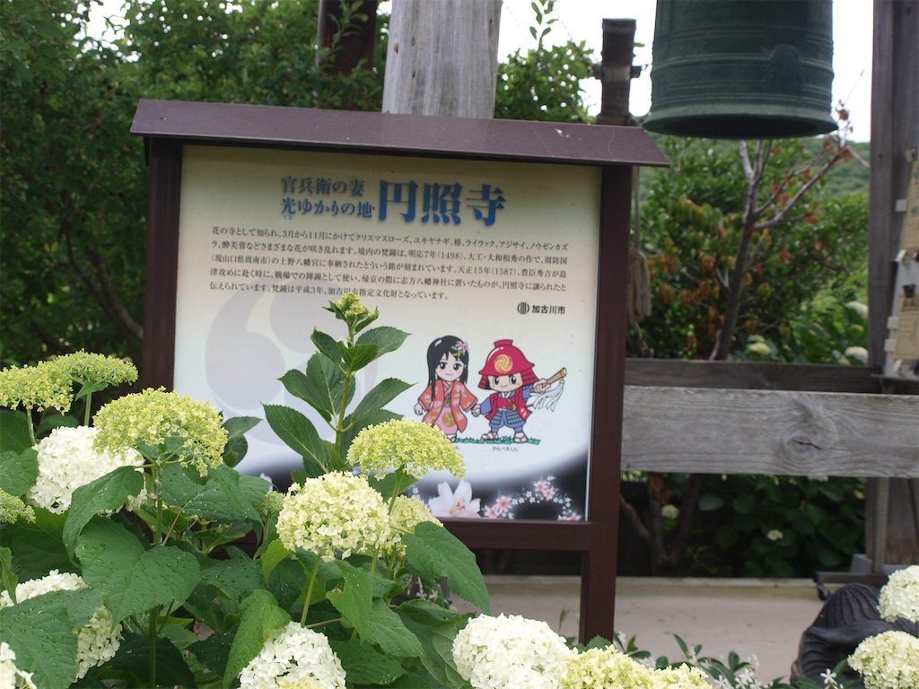f:id:faarashi5555:20200610171037j:image