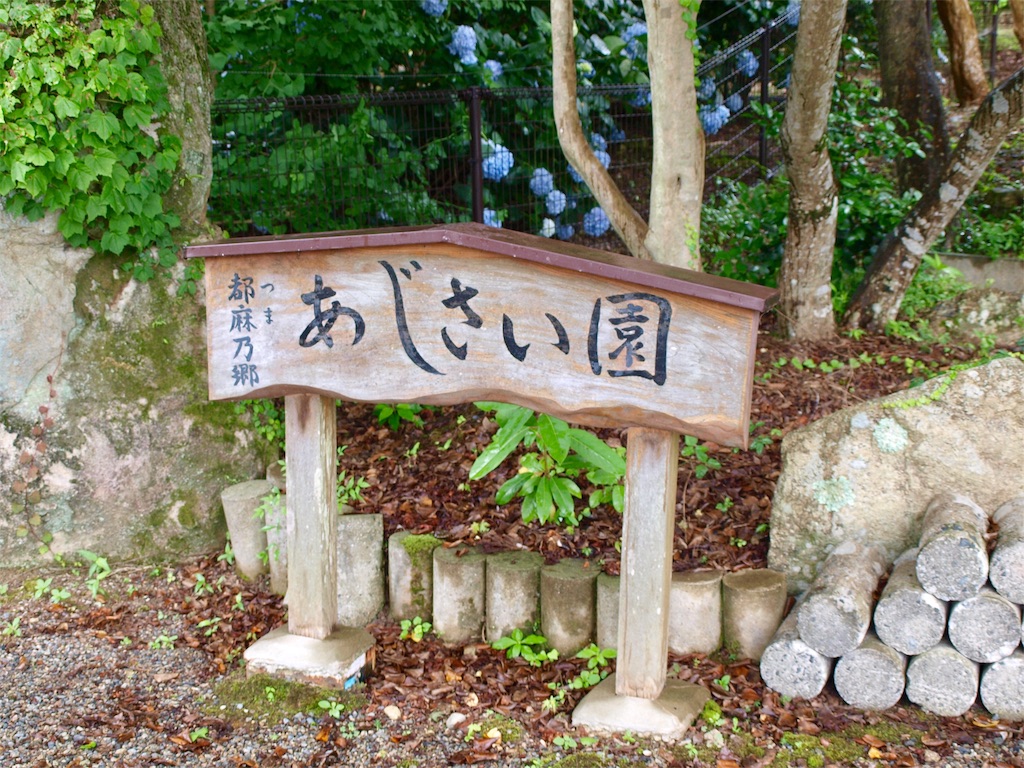 f:id:faarashi5555:20200703220040j:image