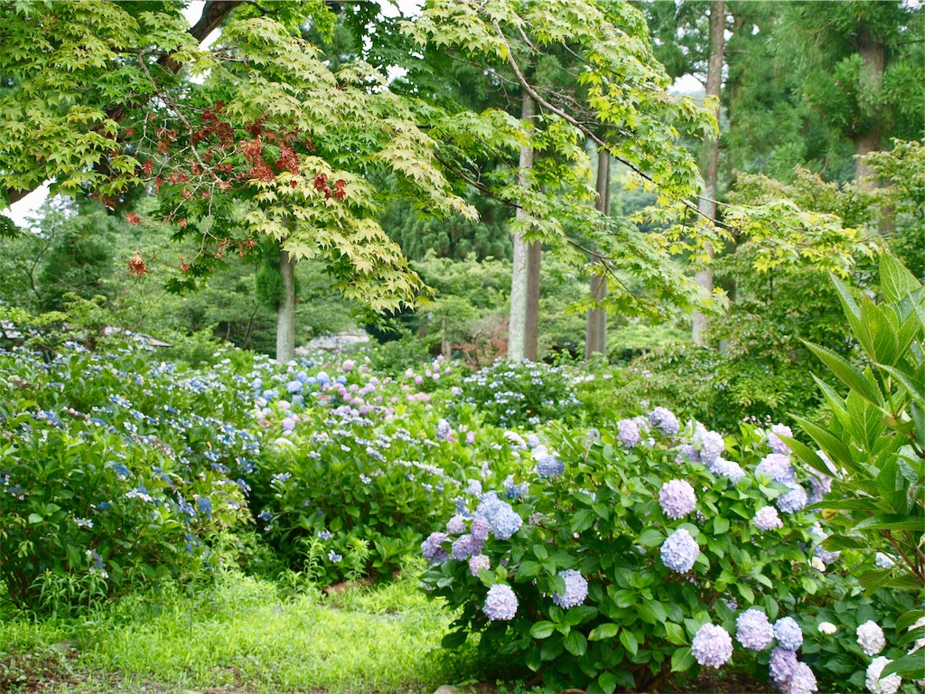 f:id:faarashi5555:20200703220139j:image