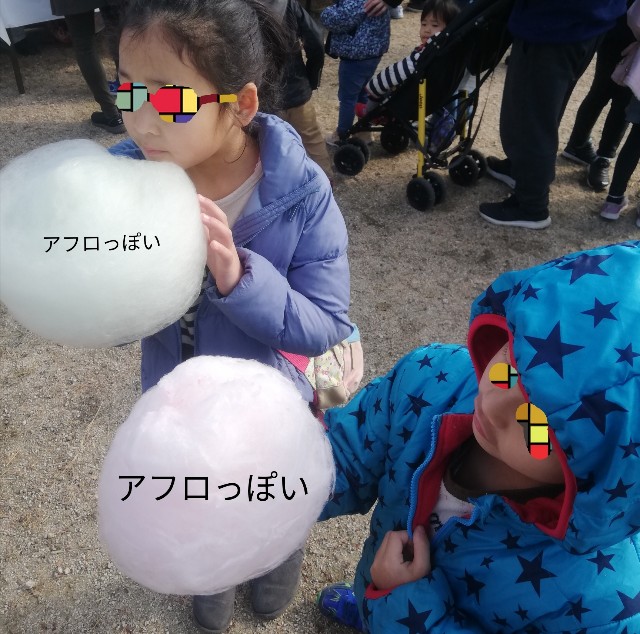 f:id:fab5:20200202210334j:image