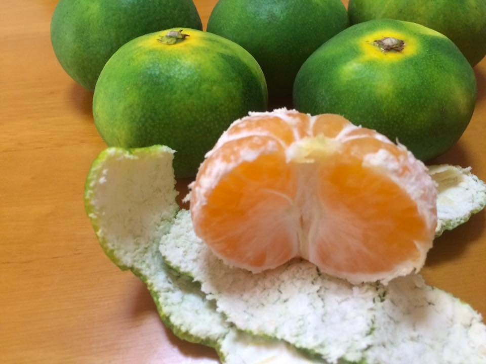 f:id:fabifuten:20160911171309p:plain f:id:fabifuten:20160911171309p:plain