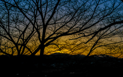 f:id:fabifuten:20171215142744j:plain