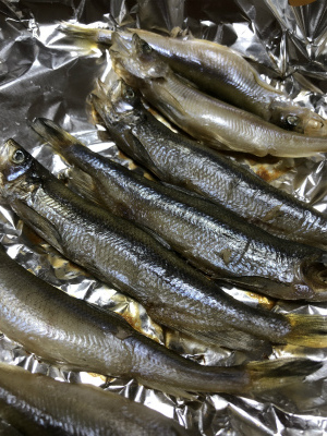 f:id:fabifuten:20171226133051j:plain f:id:fabifuten:20171226133051j:plain