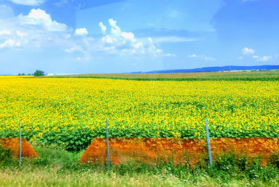 f:id:fabifuten:20180706015316j:plain