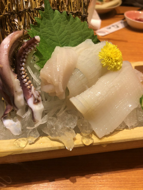 f:id:fabifuten:20180821073738j:plain