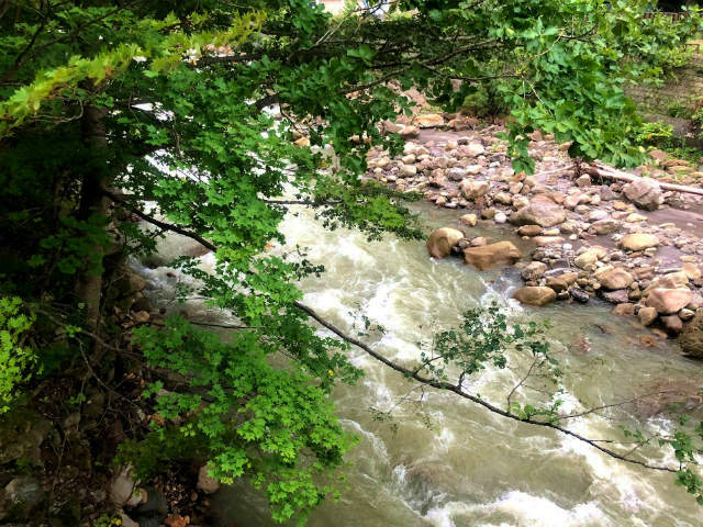 f:id:fabifuten:20180825081015j:plain