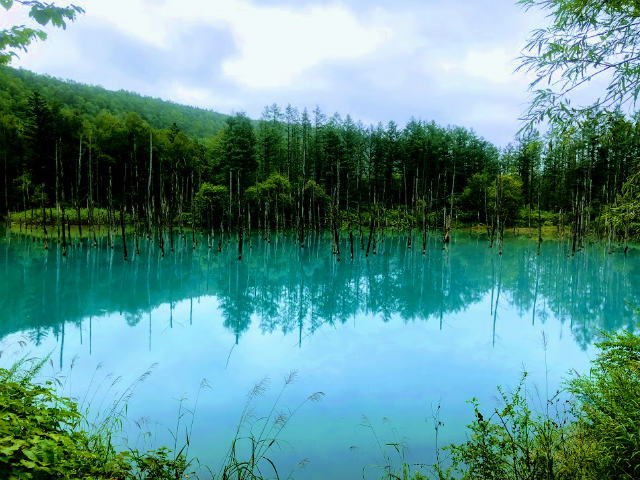 f:id:fabifuten:20180827082636j:plain