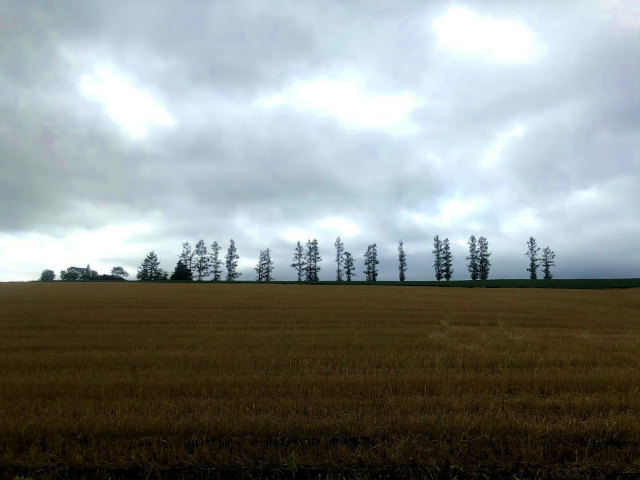 f:id:fabifuten:20180827082709j:plain