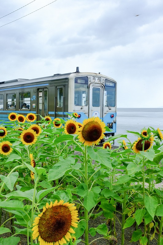 f:id:fabifuten:20181022230017j:plain