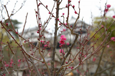 f:id:fabifuten:20190130134530j:plain f:id:fabifuten:20190130134530j:plain