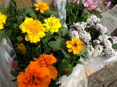 f:id:fabifuten:20190407160502j:plain
