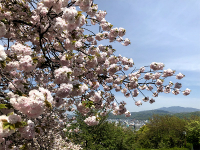f:id:fabifuten:20190418175127j:plain