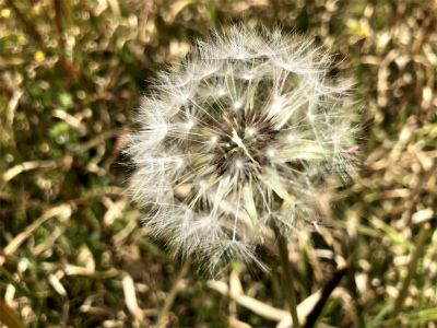 f:id:fabifuten:20190418175505j:plain