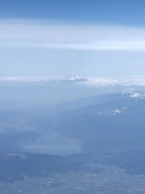 f:id:fabifuten:20190420184652j:plain f:id:fabifuten:20190420184652j:plain