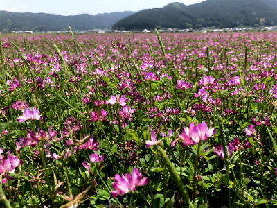 f:id:fabifuten:20190504182215j:plain f:id:fabifuten:20190504182215j:plain