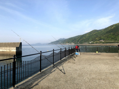 f:id:fabifuten:20190505145453j:plain