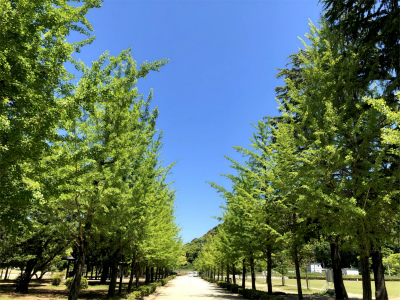 f:id:fabifuten:20190507122152j:plain
