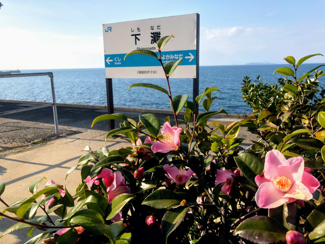 f:id:fabifuten:20190508092010j:plain