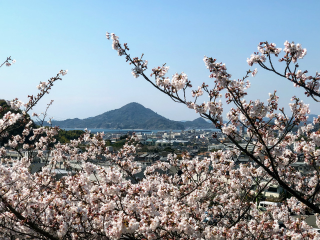 f:id:fabifuten:20190508093720j:plain