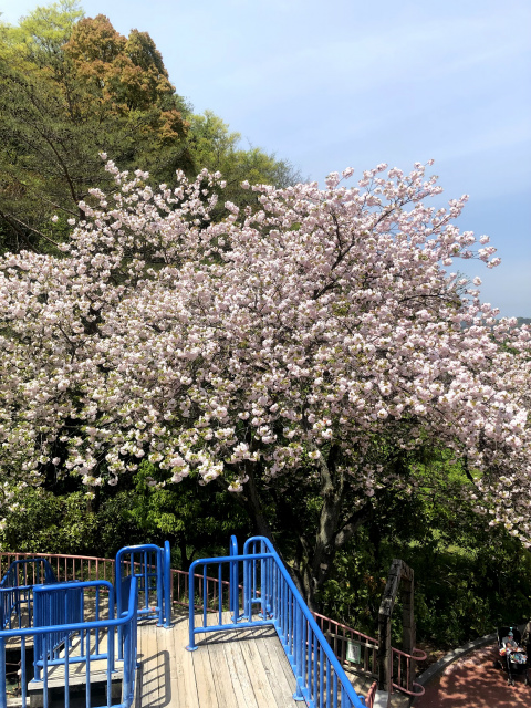 f:id:fabifuten:20190508100126j:plain