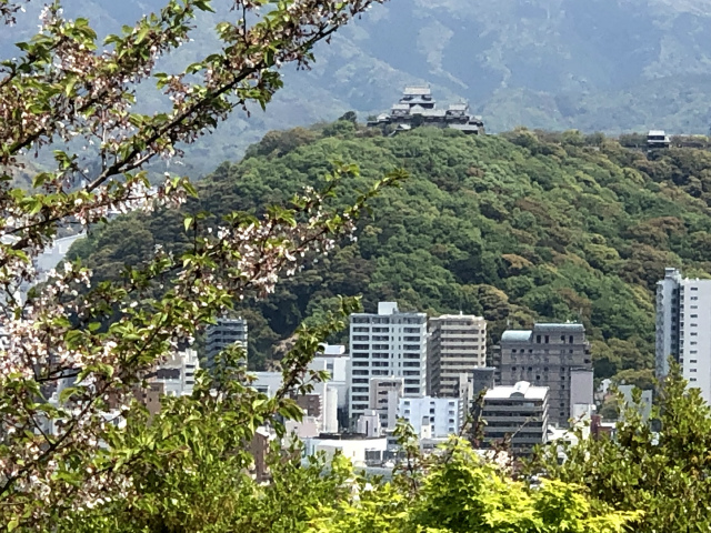 f:id:fabifuten:20190508100140j:plain