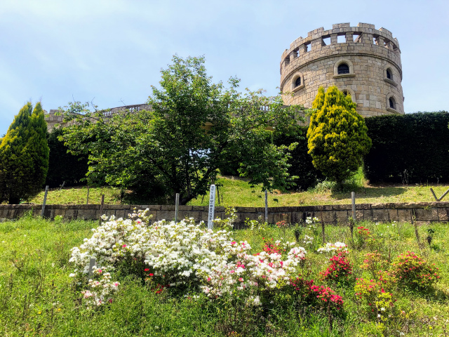 f:id:fabifuten:20190508100143j:plain