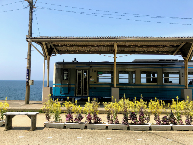 f:id:fabifuten:20190508101040j:plain